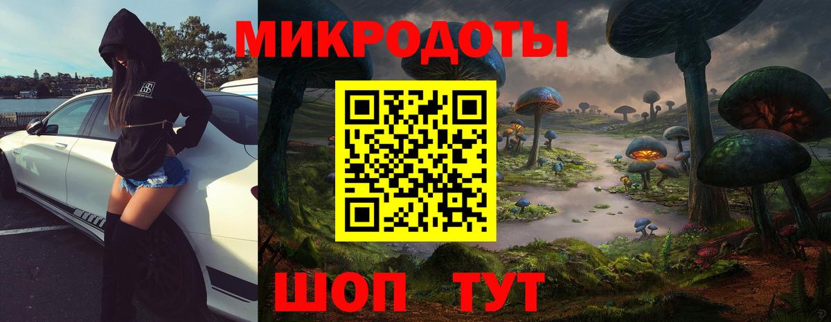 Псилоцибиновые грибы Psilocybine cubensis Богородицк