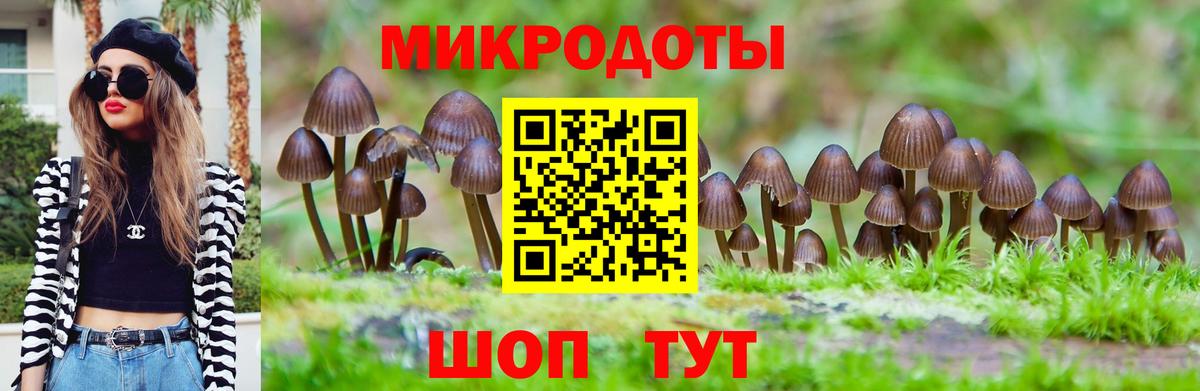 Псилоцибиновые грибы GOLDEN TEACHER  Псилоцибиновые грибы MAGIC MUSHROOMS  Богородицк  Вход с VPN 